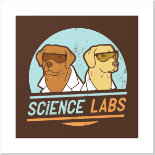 Science Labs Posters and Art